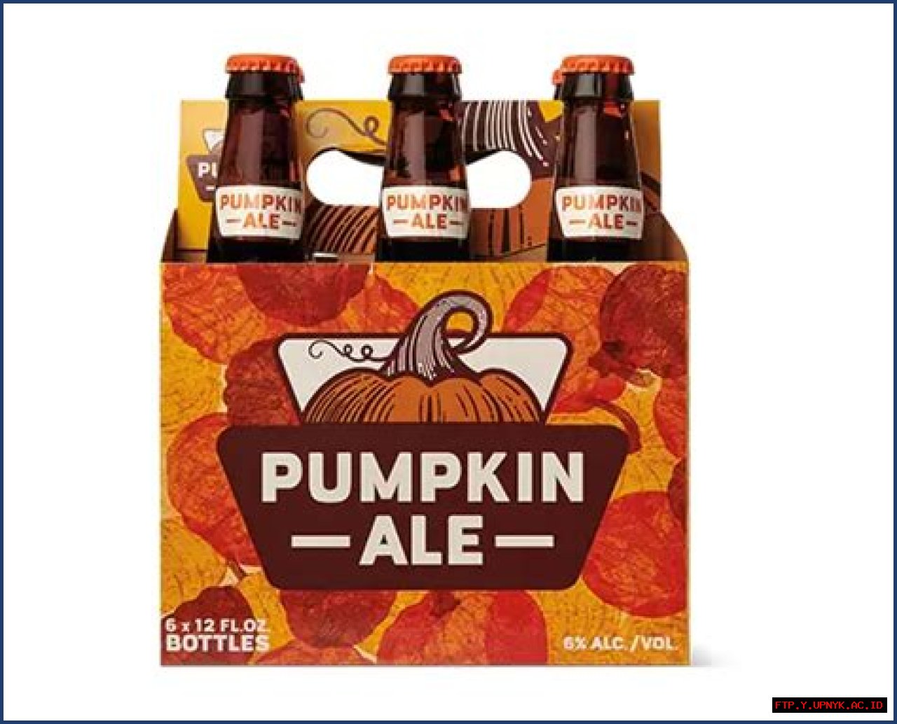Fall Into Flavor: Explore Aldi's Delectable Pumpkin Ale