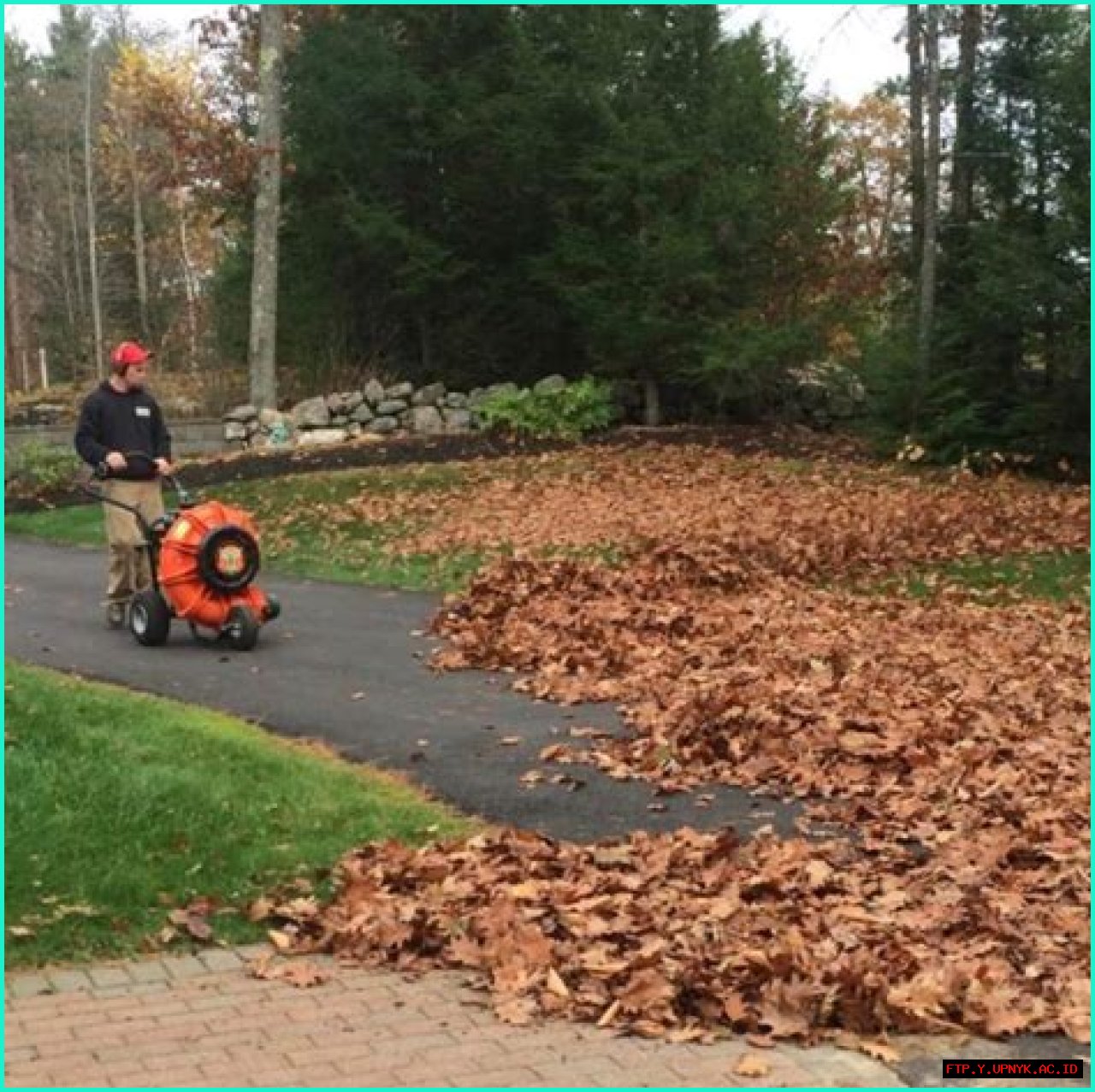 Fall Leaf Cleanup: Removing Leaves From Driveway Easily