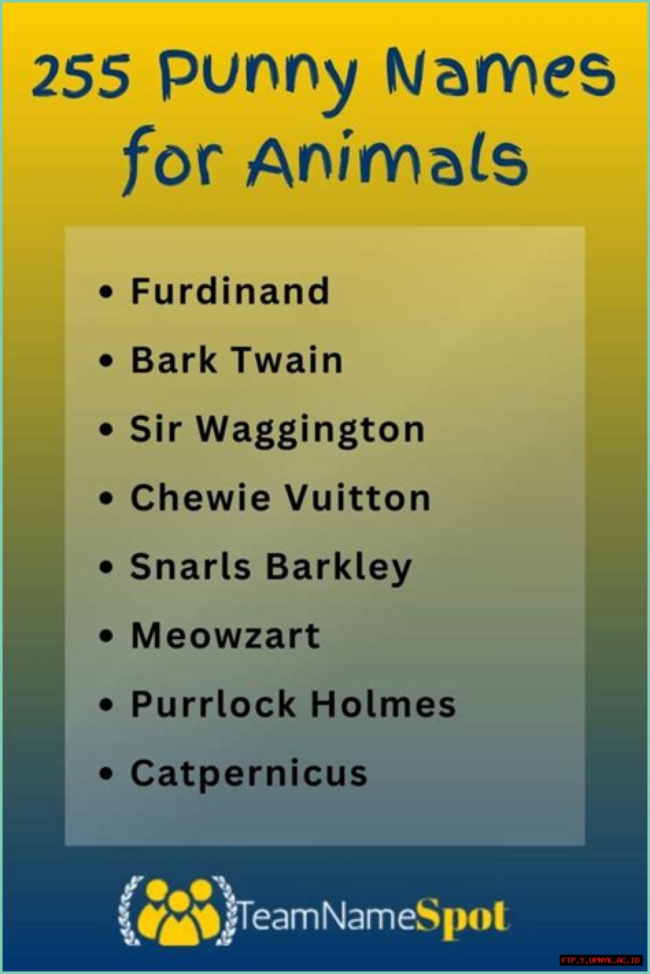 Feline-tastic Cat Pun Names: The Purrfect Way To Name Your Kit-ty