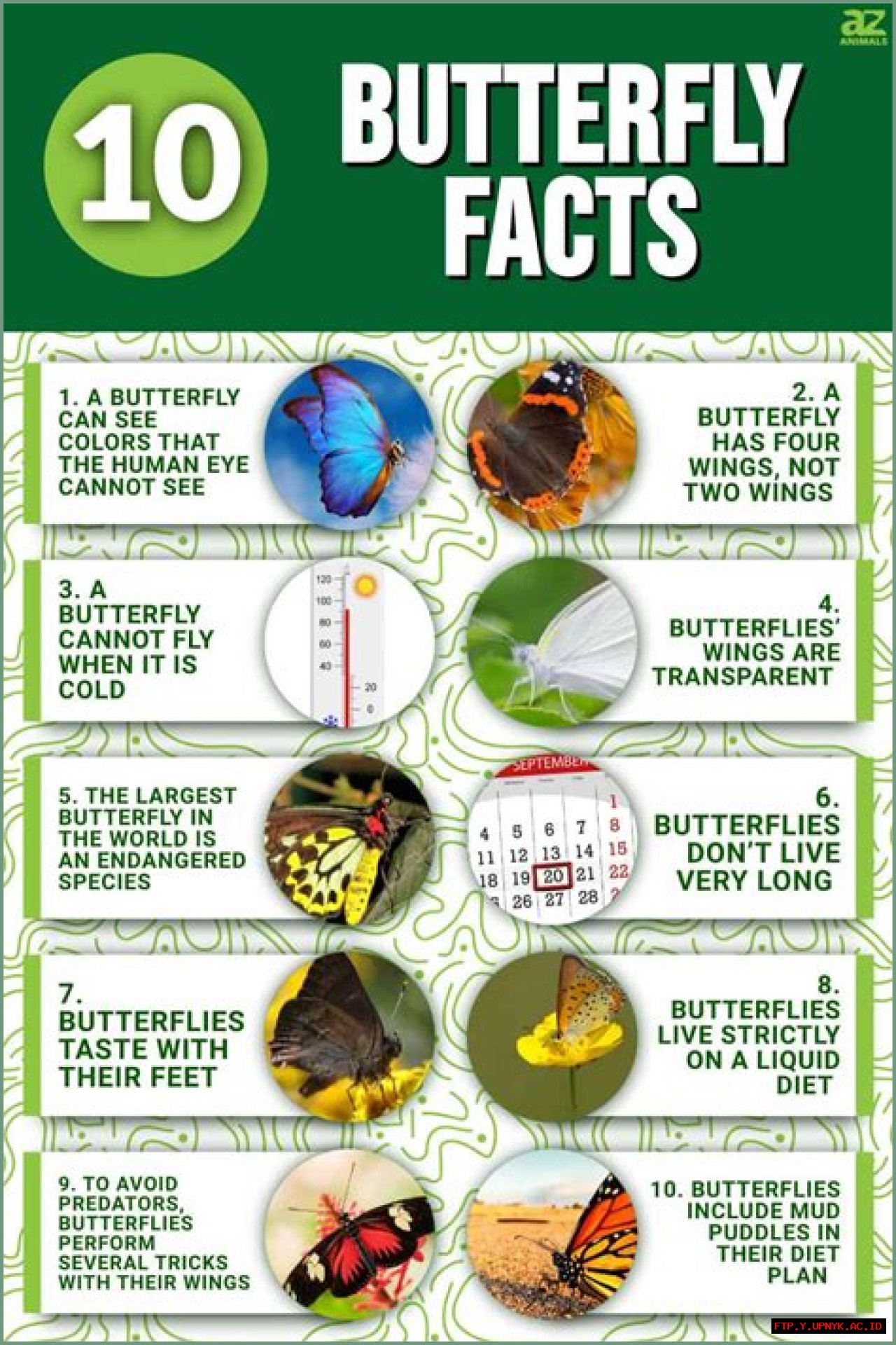 Find Out About Jos Bastn Children: All The Facts