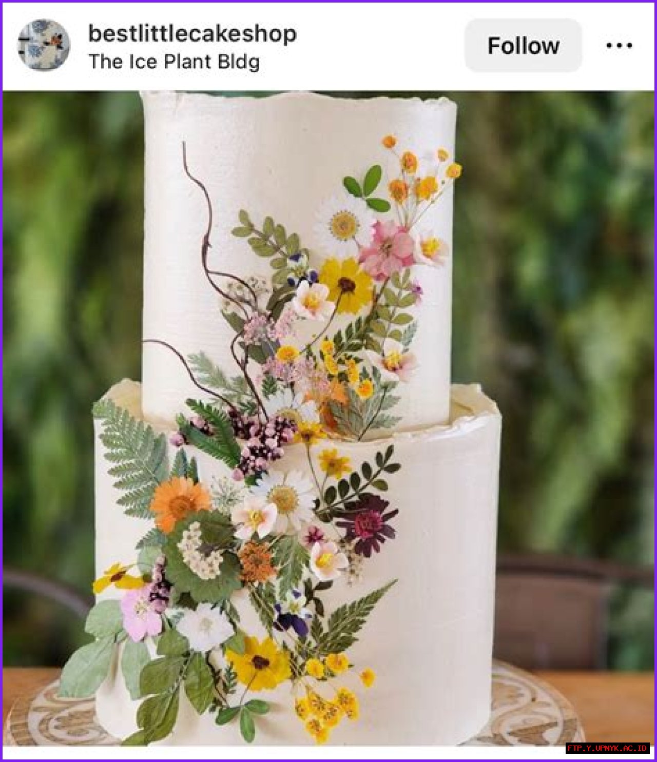 Flowers In Bloom: Embrace The Beauty Of Grand Floral Tops