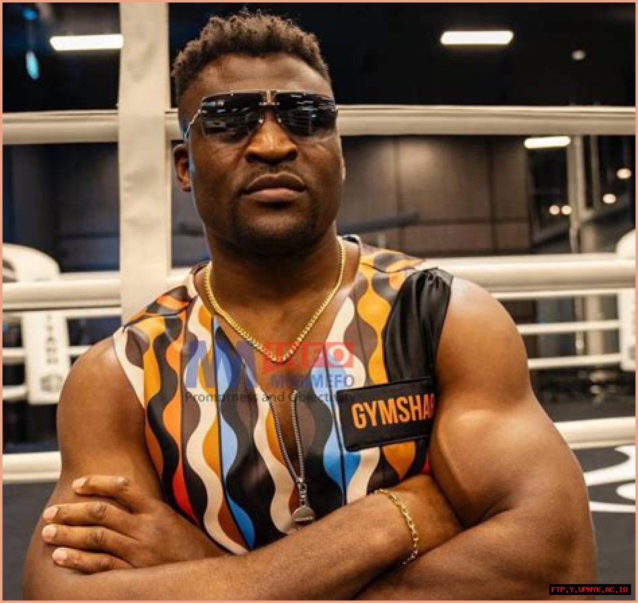Francis Ngannou's Extraordinary Reach: Dominating The Octagon