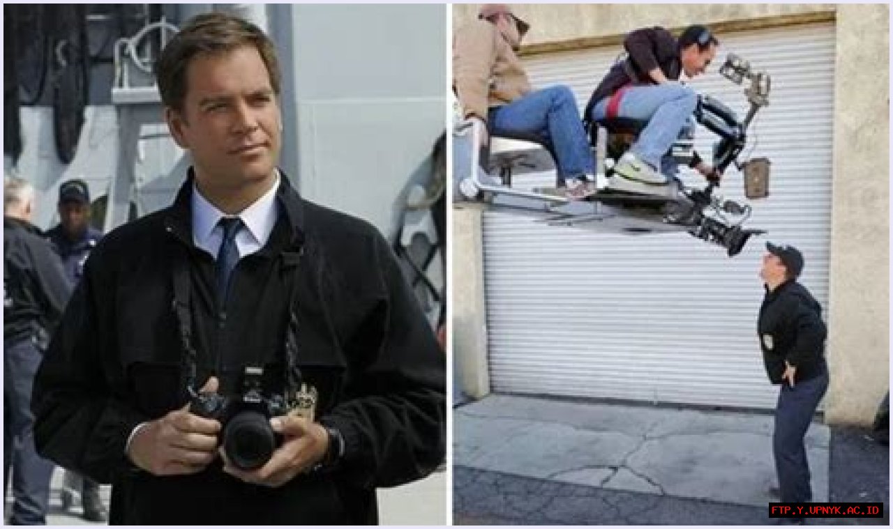 Get To Know Michael Weatherly's Family: A Behind-the-Scenes Look