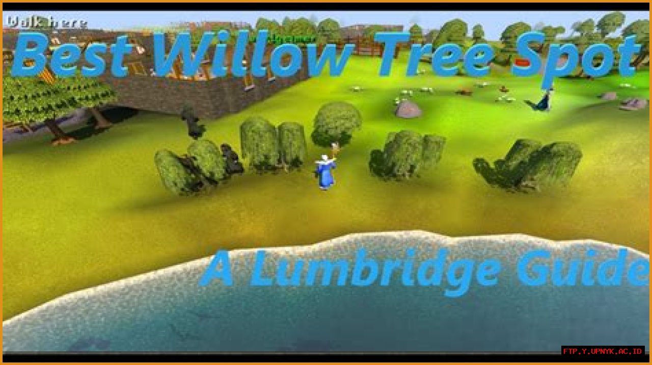 Grow Your Own Willow Sapling: The Ultimate OSRS Guide