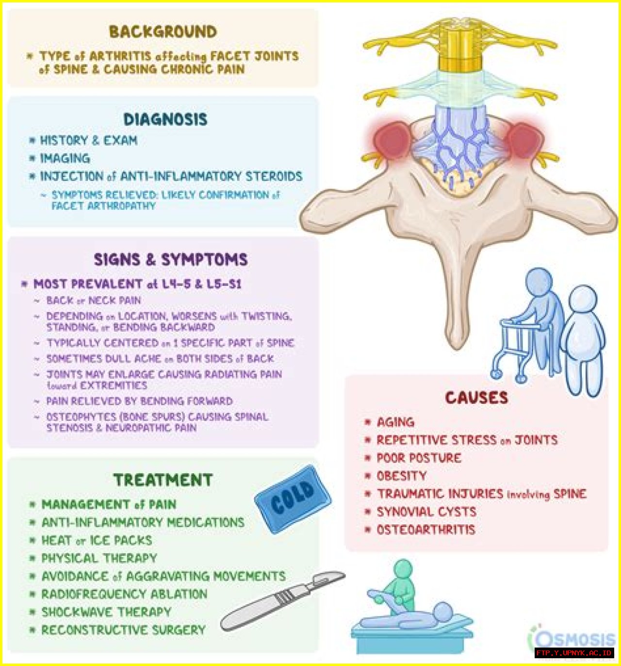 Guide To Hypertrophic Facet Arthrosis: Symptoms, Causes, And Treatment