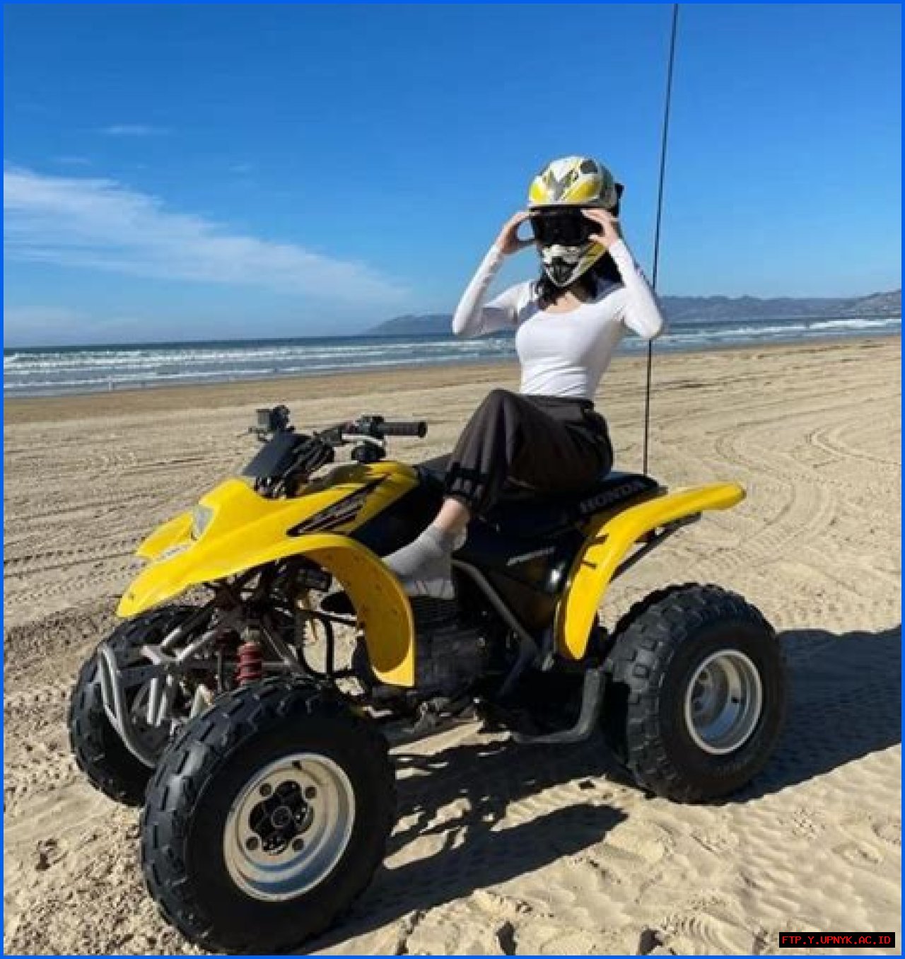 Hala Abusham's Net Worth: A Comprehensive Guide