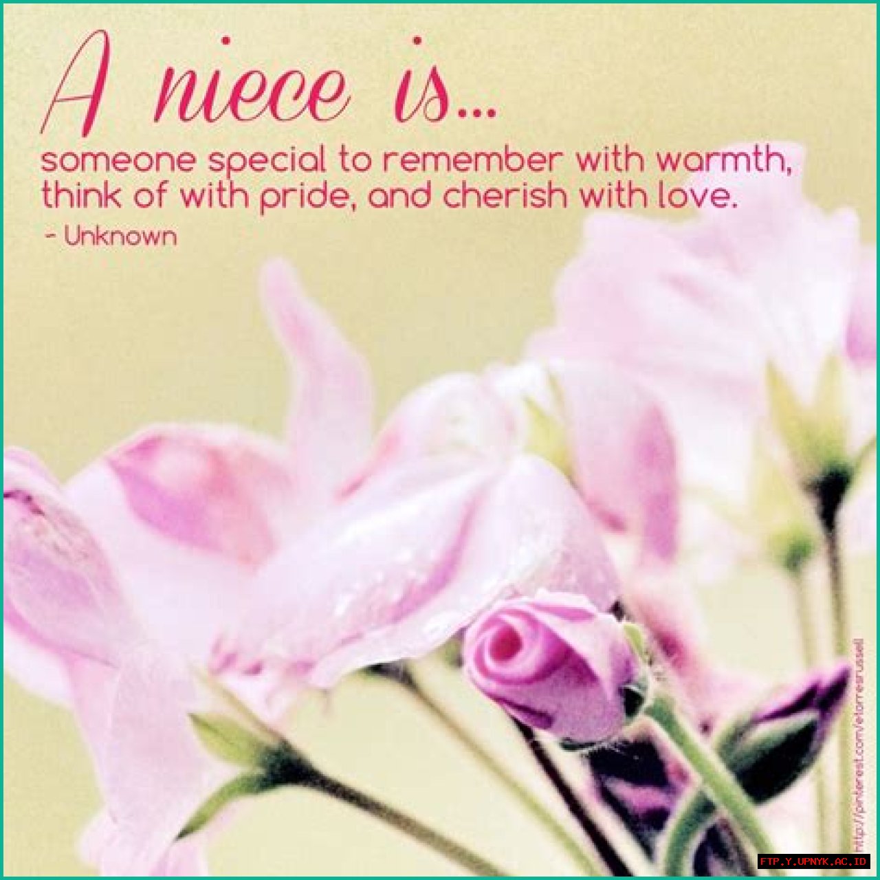 Heartfelt Quotes About Cherished Nieces: Expressions Of Love And Connection