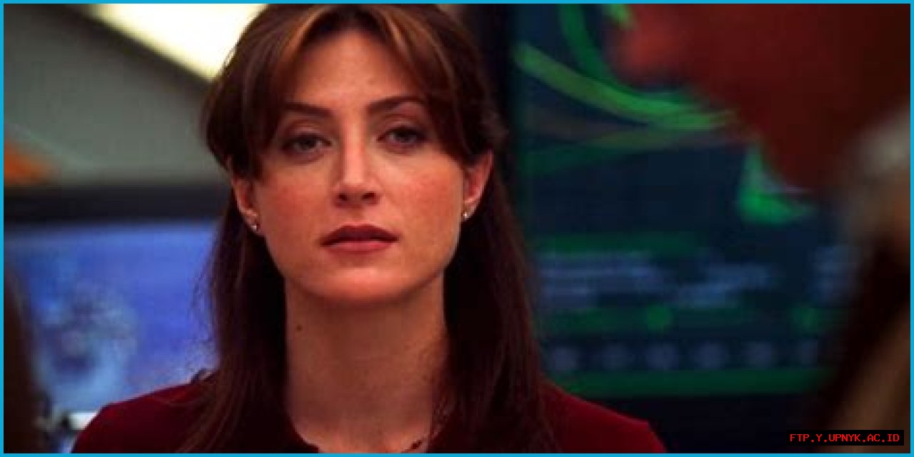 Hollywood's Finest: The Allure Of 'NCIS: Los Angeles' Actresses