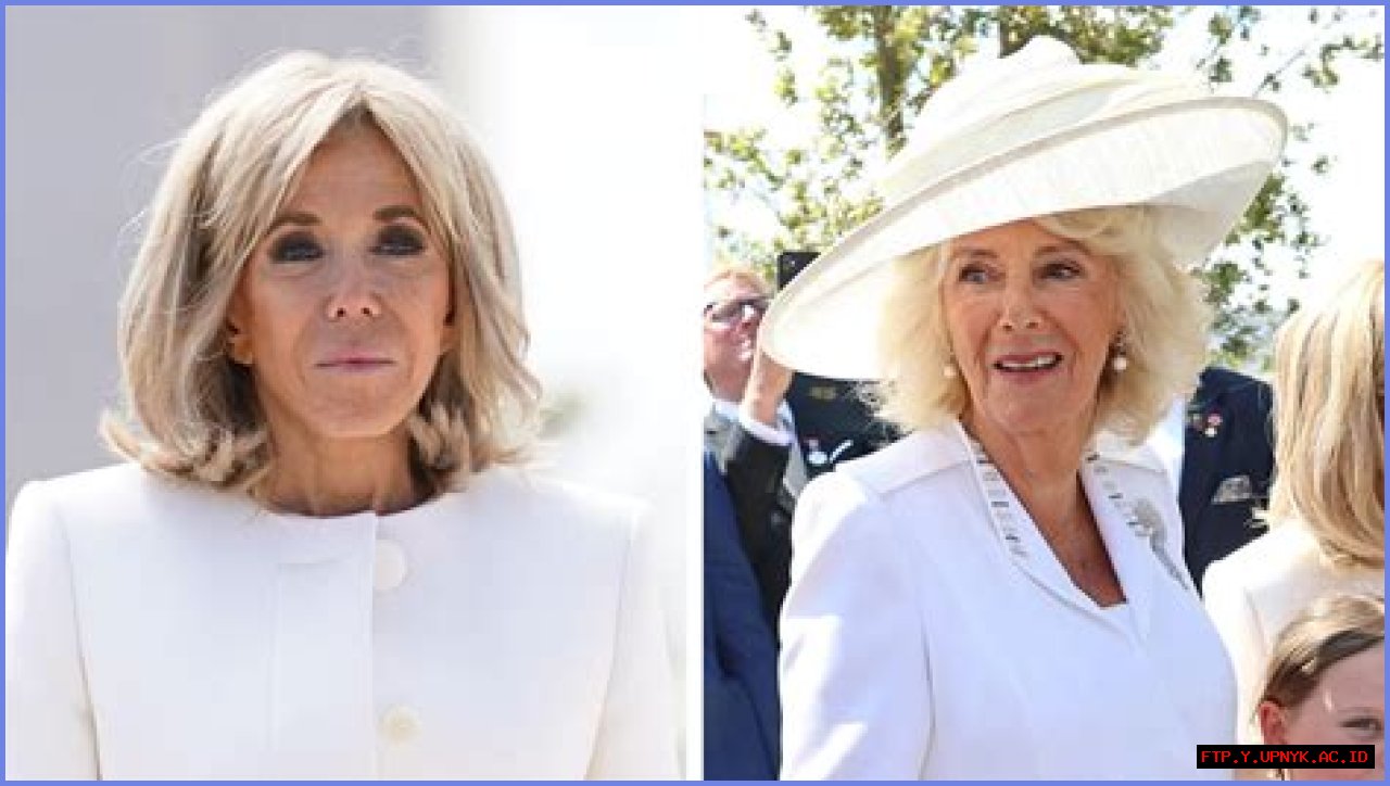 How Ancient Is France's First Lady? Unveiling Her Age