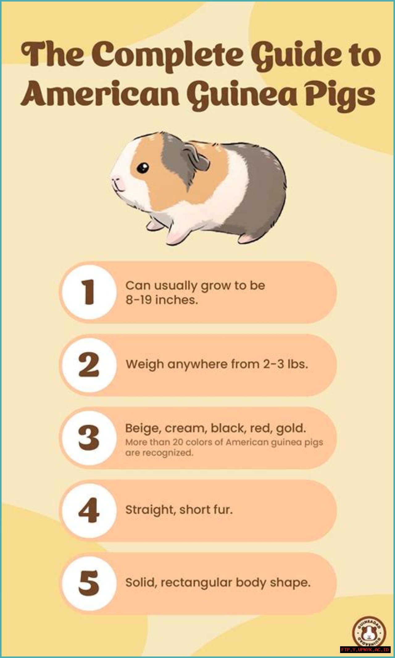 How Common: The Complete Guide To Average Heights