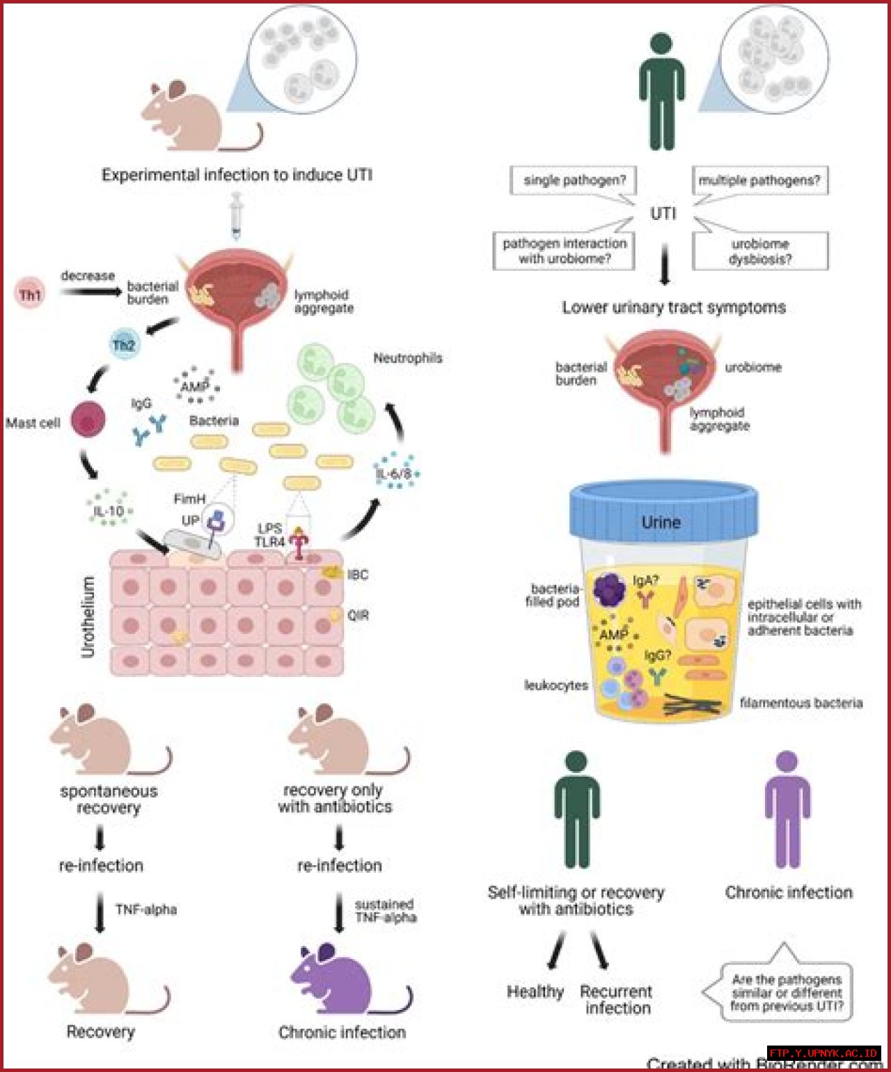 How Eazy-E Tragically Contracted HIV: An Insightful Examination