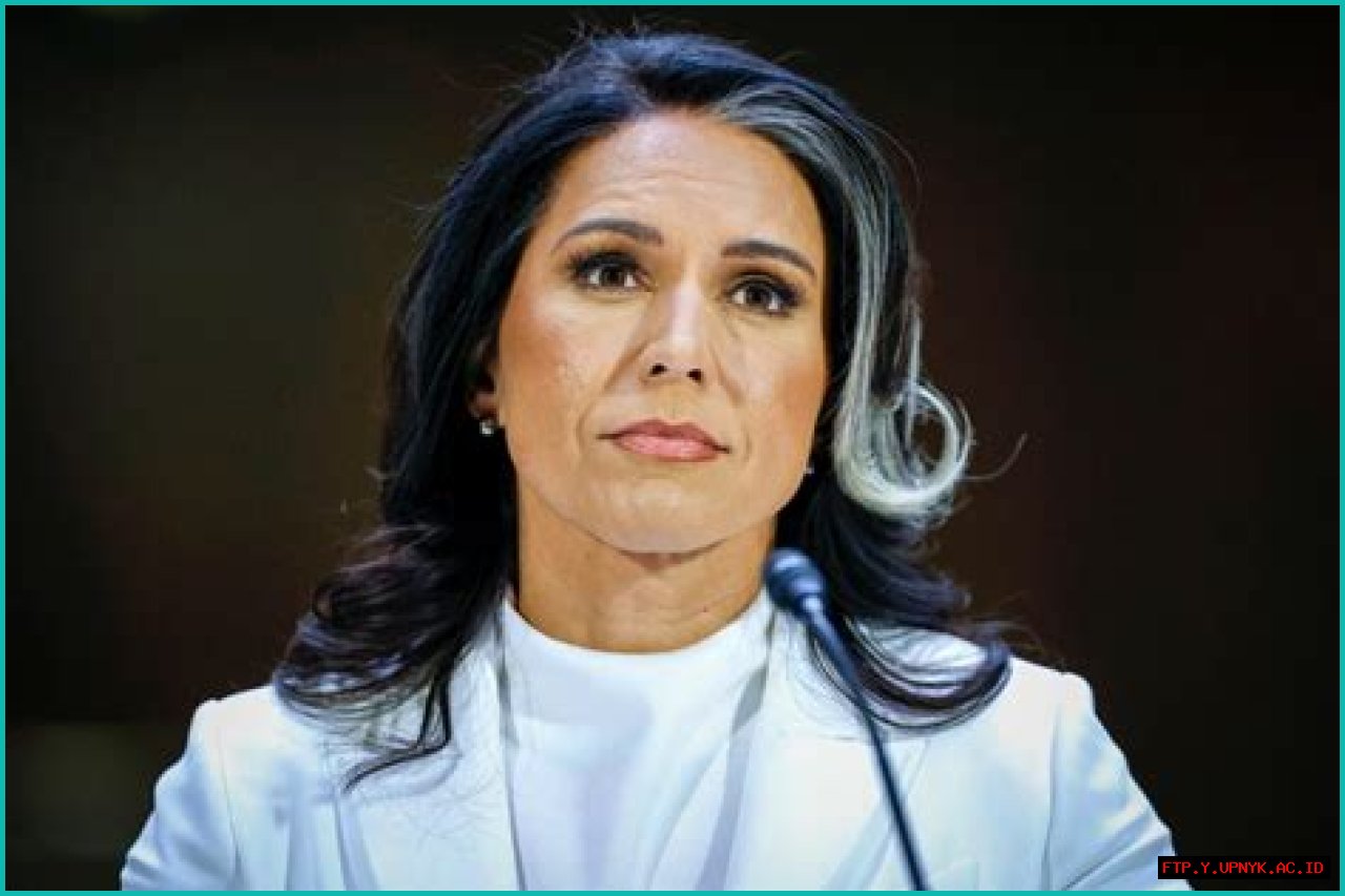 How Old And Tall Is Tulsi Gabbard? Age And Height Explored