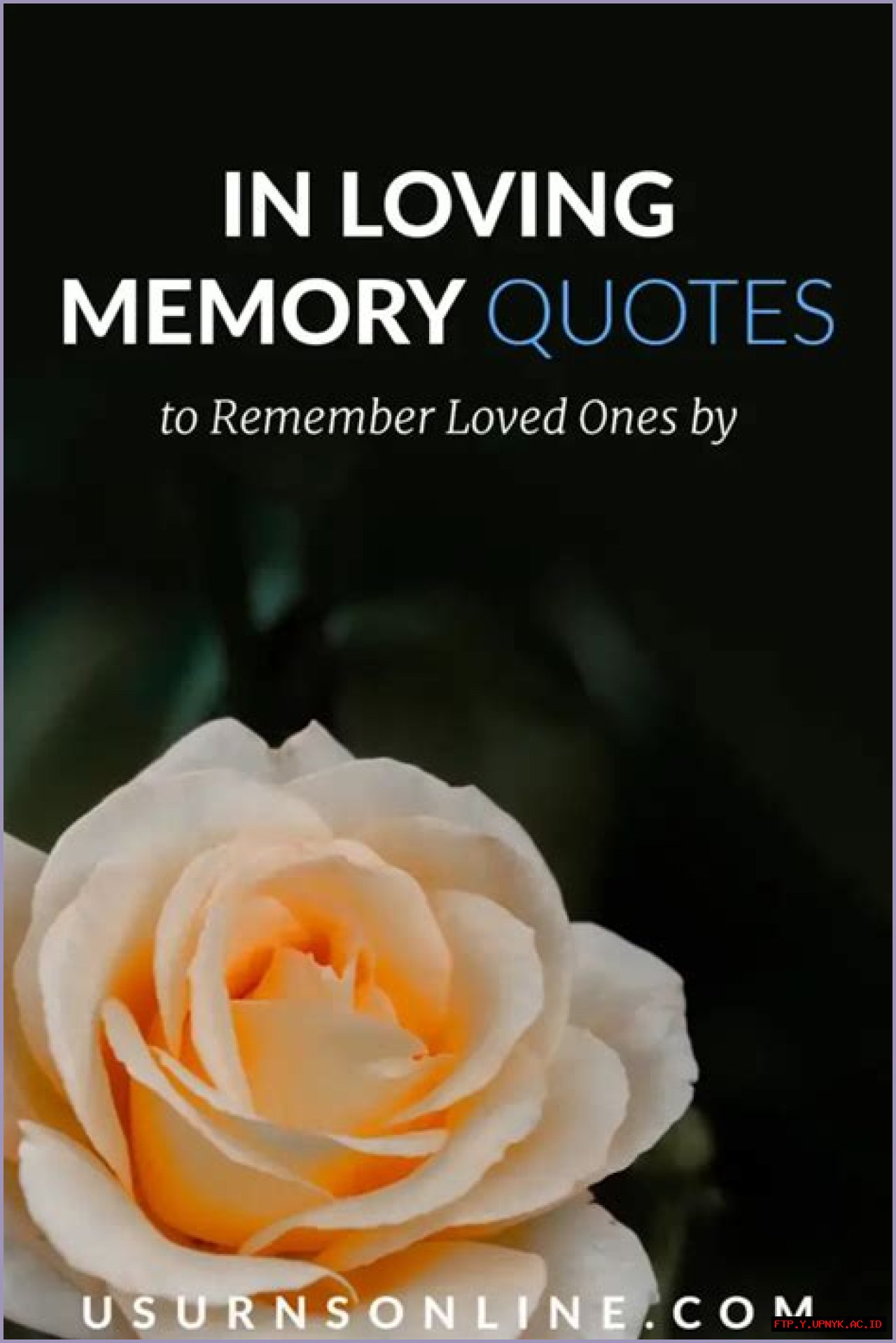 In Memoriam: Remembering Juan Ramirez Montrose