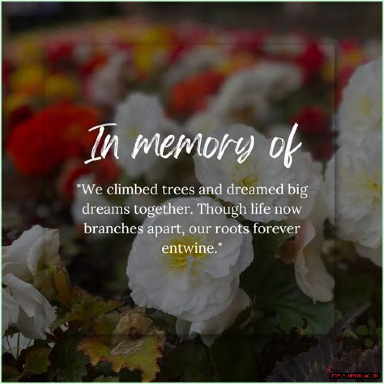 In Memoriam: Remembering The Life Of Dana Haynes