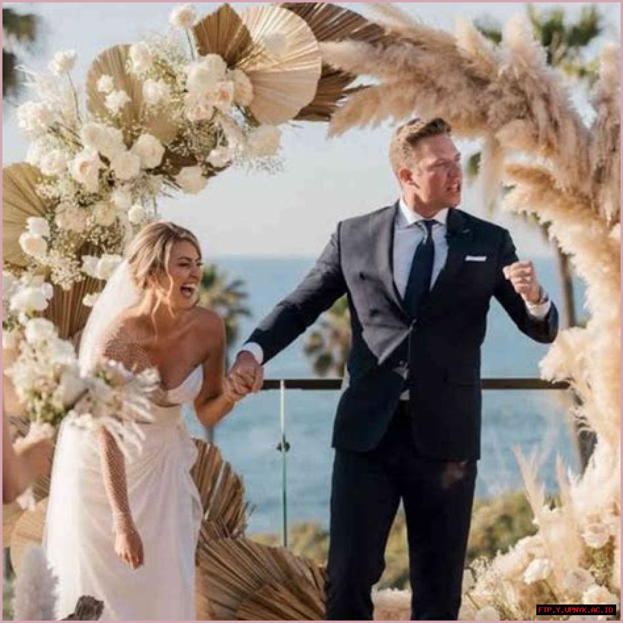 Is Amanda Balionis's Marital Status Still Intact?