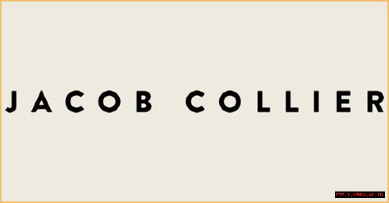 Jacob Collier's Collaborative Music Partner