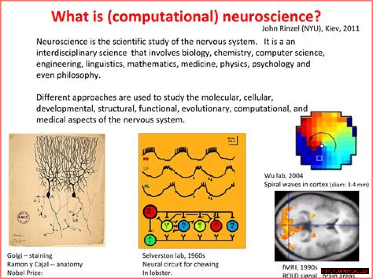 Jamie Watson: A Renowned Expert In Computational Neuroscience