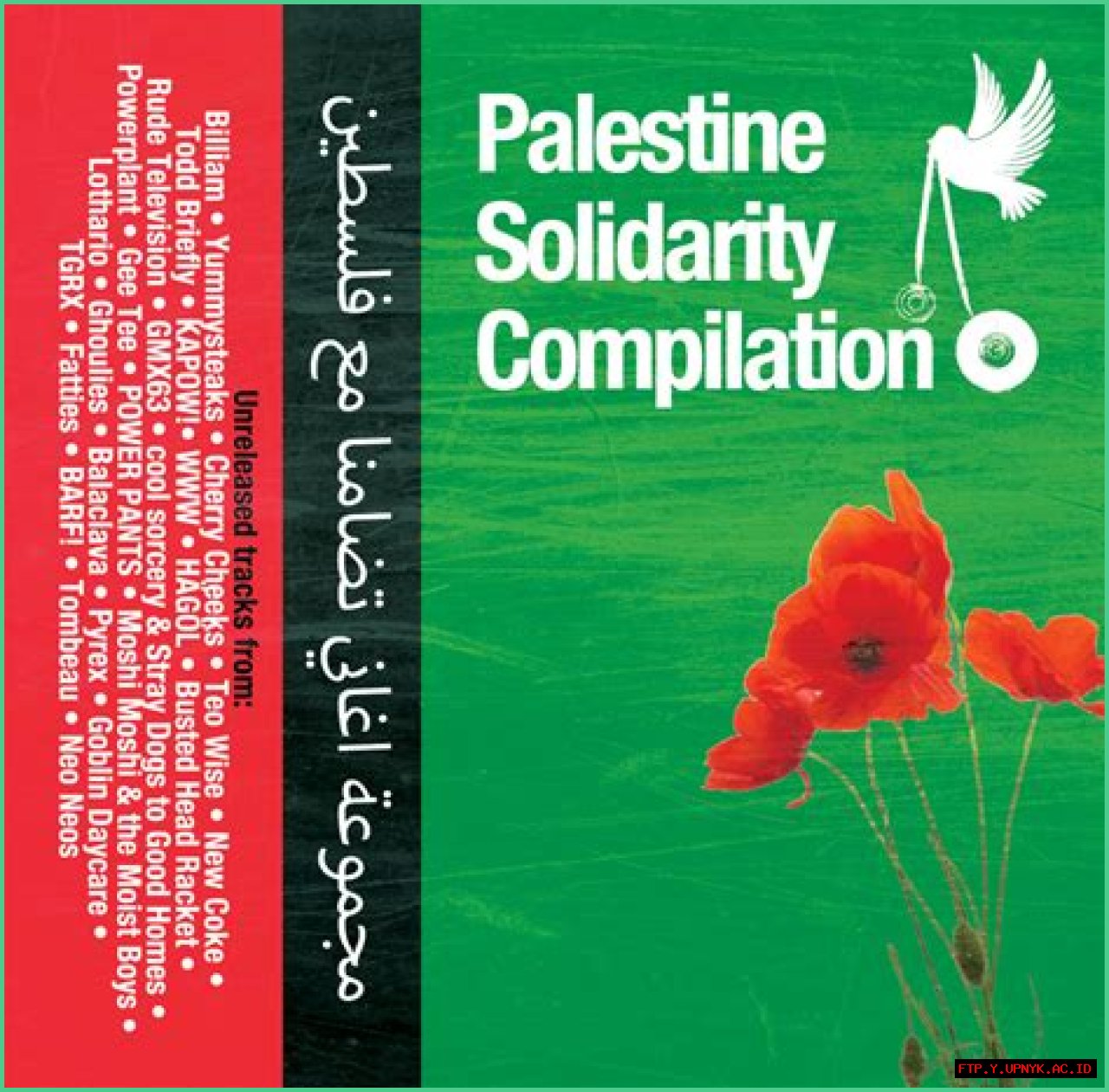 Joe Keery Stands In Solidarity With Palestine