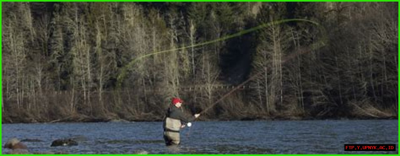Join The Reel Deal: Texas Fishing Forums For The Avid Angler