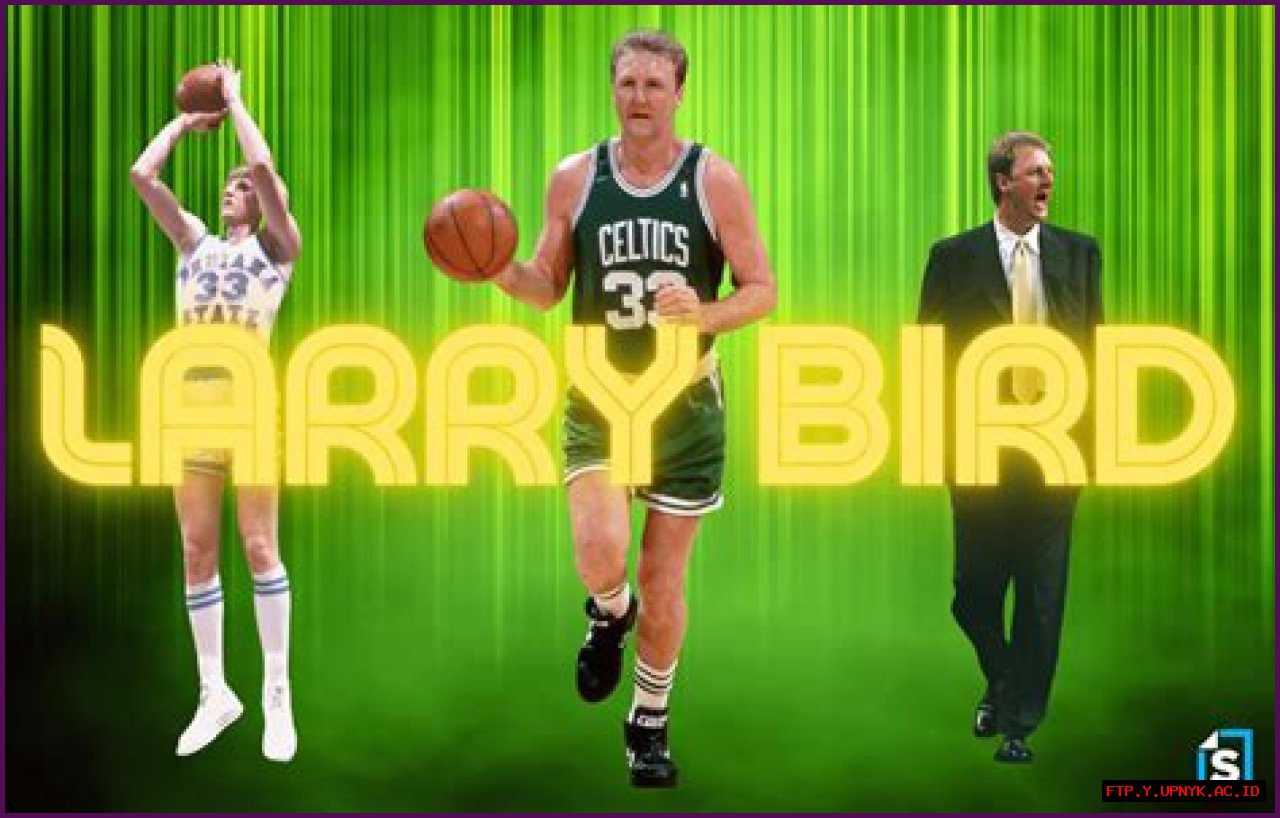 Larry Bird Pop: The Ultimate Guide