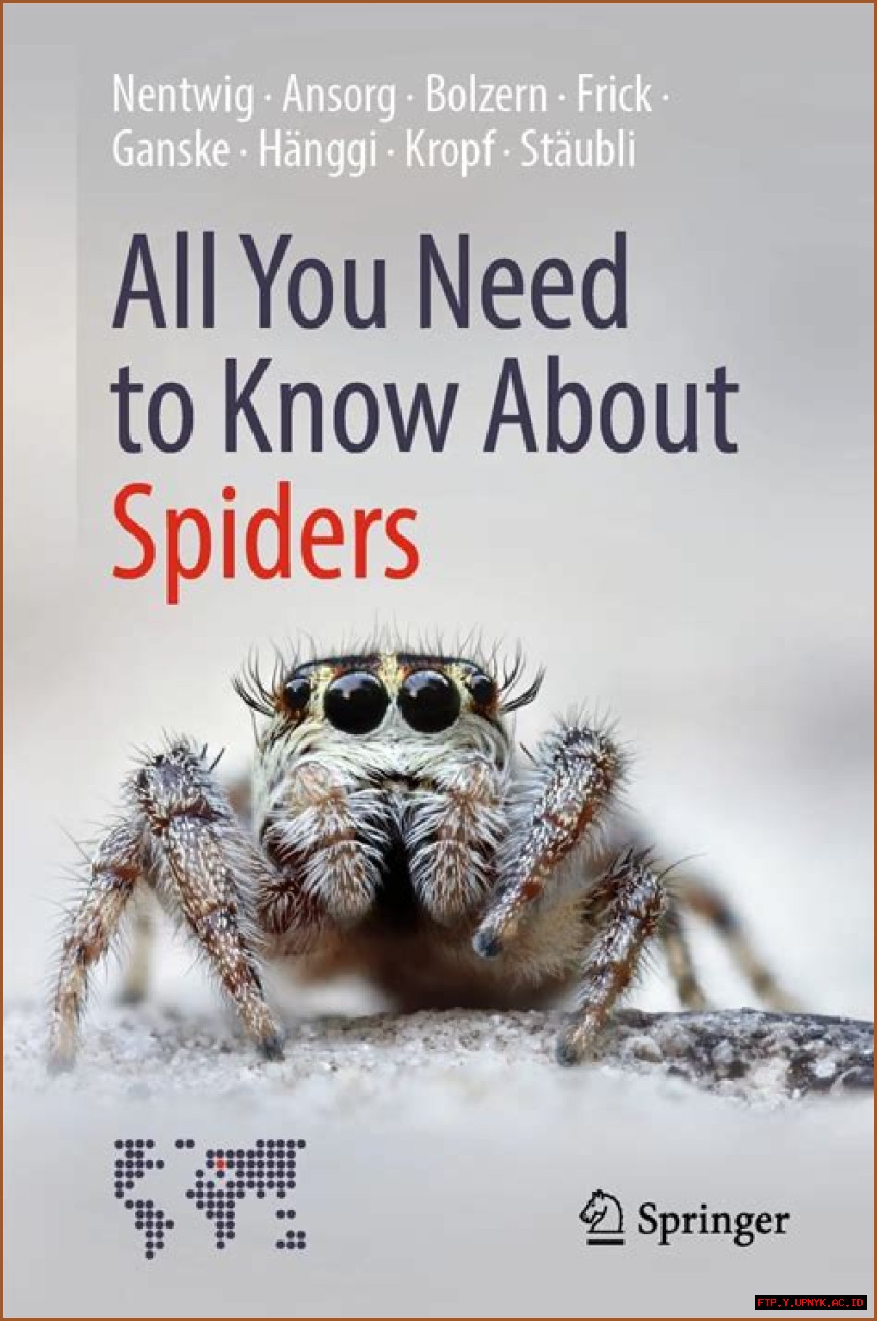 Learn Everything You Need To Know About AAE Files