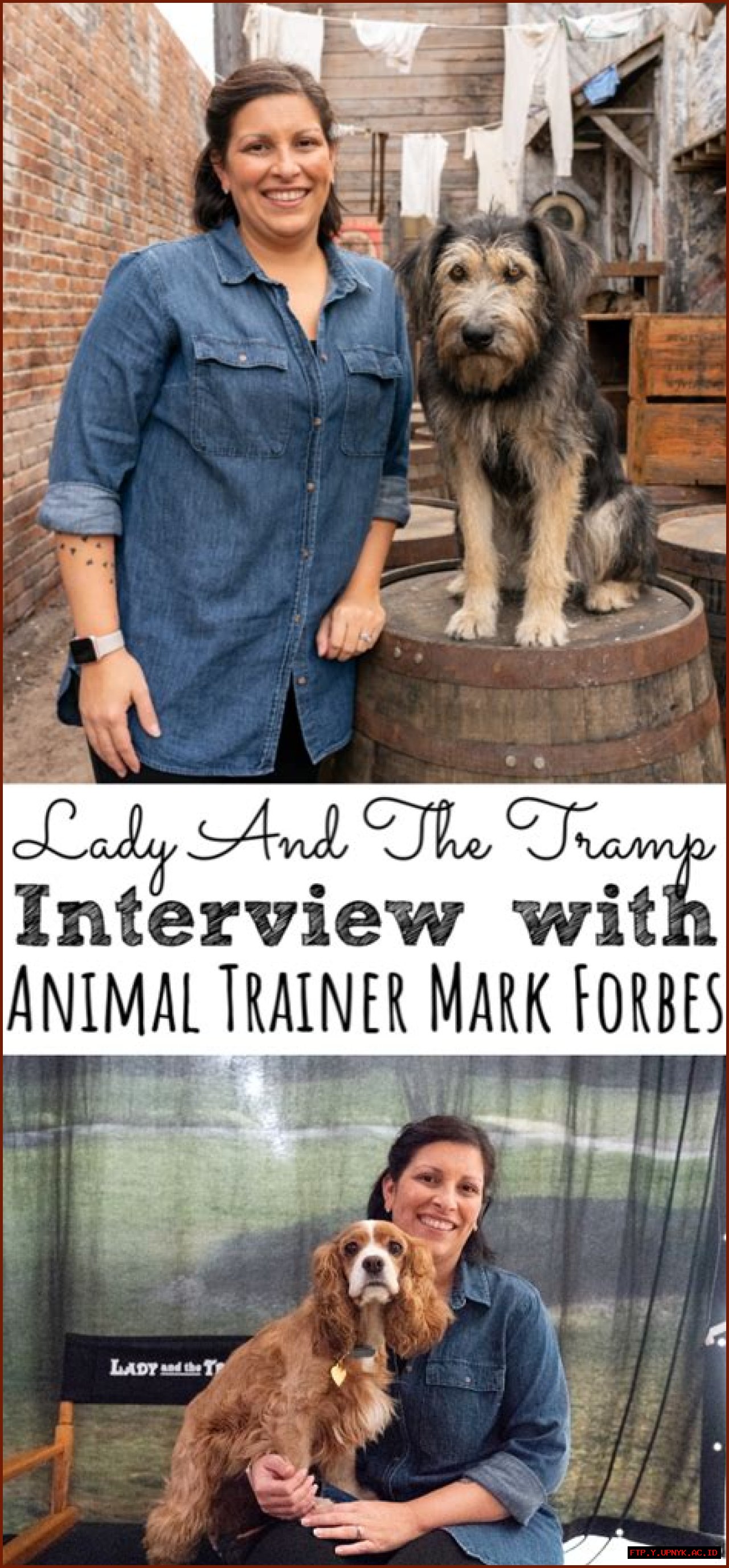 Learn From The Renowned Animal Trainer Mark Forbes