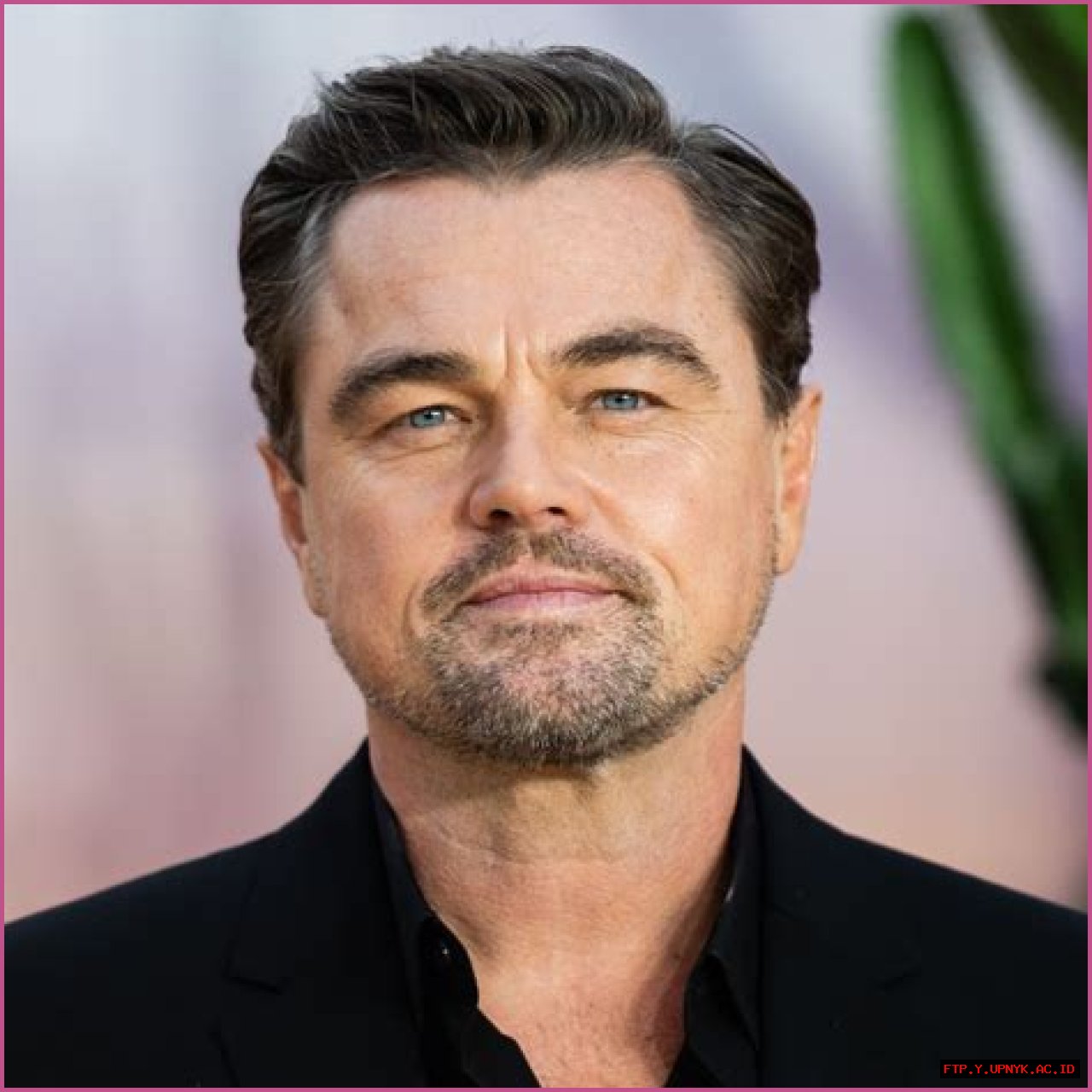 Leonardo DiCaprio: Hollywood Icon With A Staggering Net Worth
