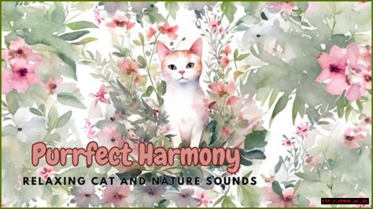 Listen To The Purrfect Harmony: The Soothing Mew Of A Kitten