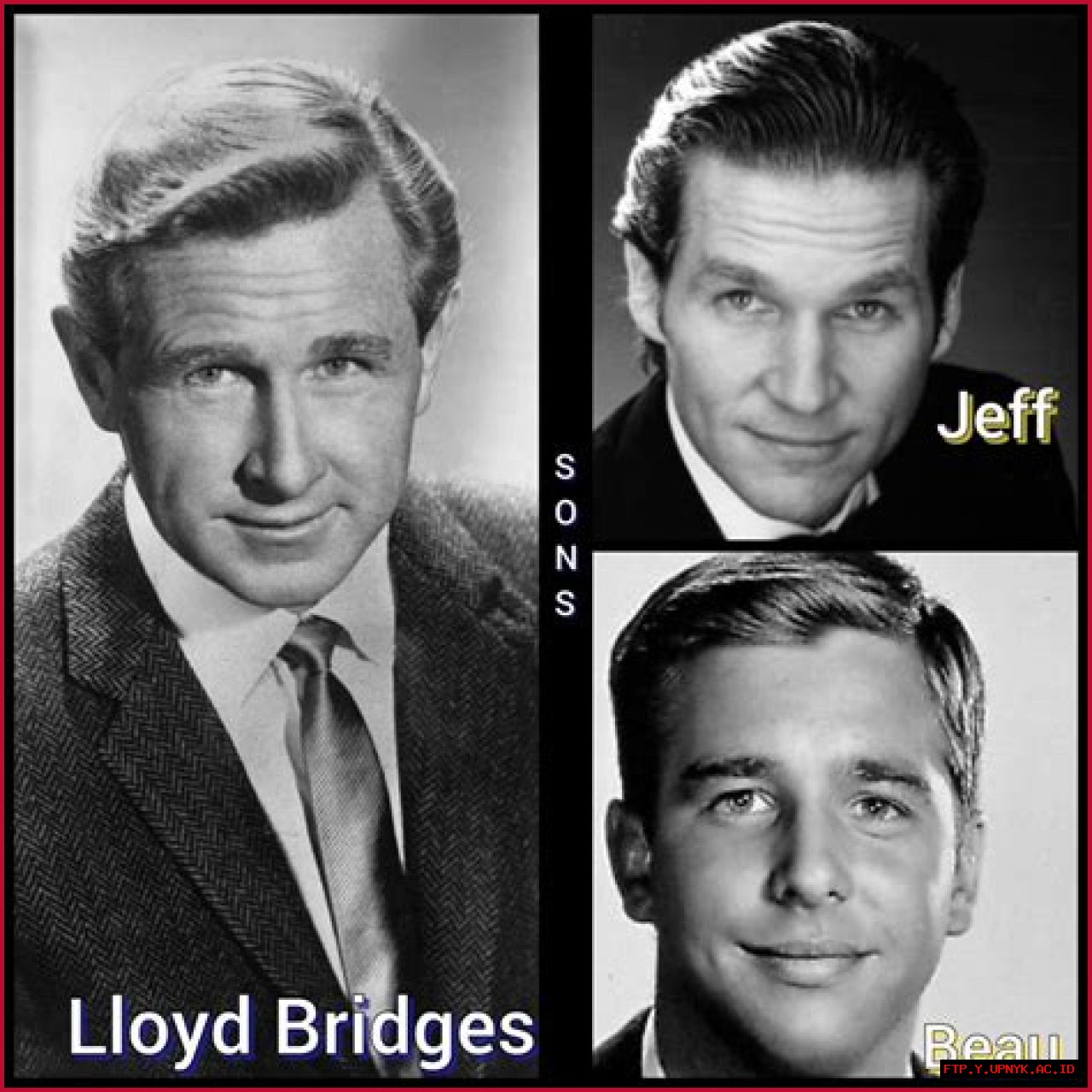 Lloyd Bridges And Sons: A Hollywood Legacy Of Acting Excellence