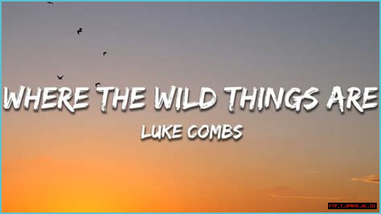 Luke Combs 'Where The Wild Things Are': Meaningful Lyrics, Driving Melody