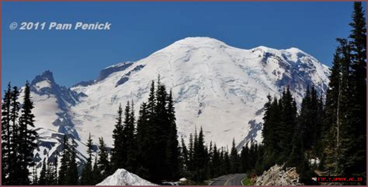 Majestic Mount Rainier: 2007 Expedition Unveils Its Grandeur