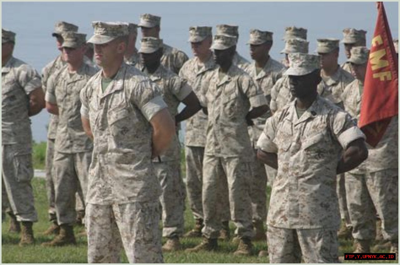 Marines: Alcohol-Related Incidents And Risks