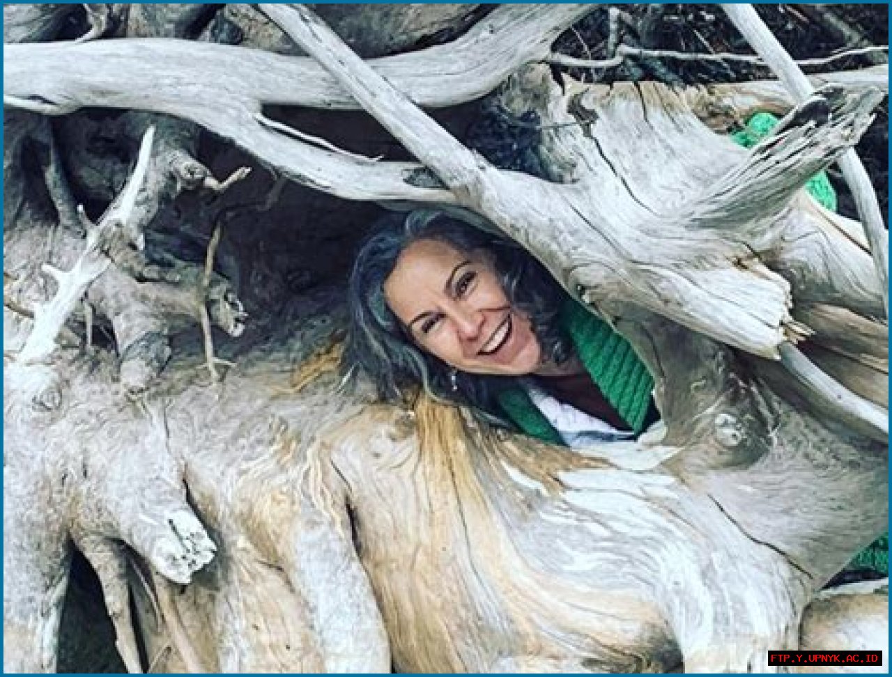 Meet Ann Archambault: An Expert In Her Field