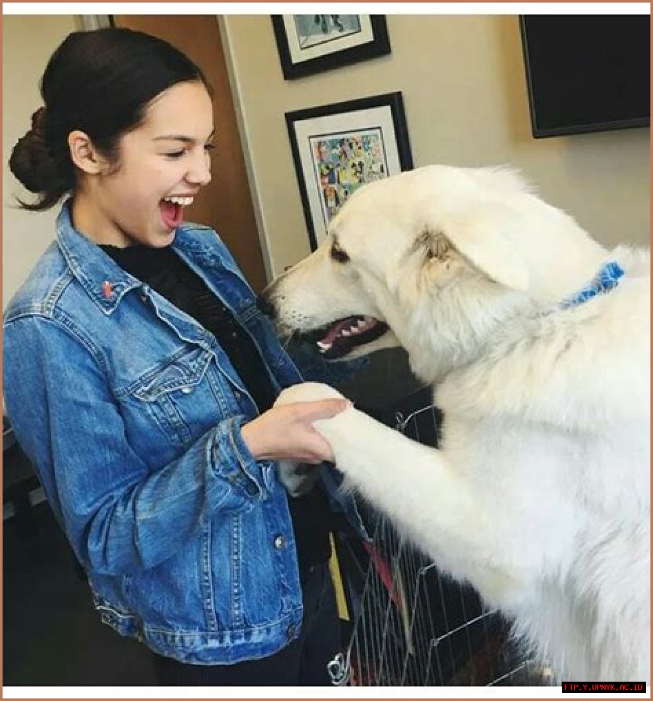 Meet Olivia Rodrigo's Adorable Dog