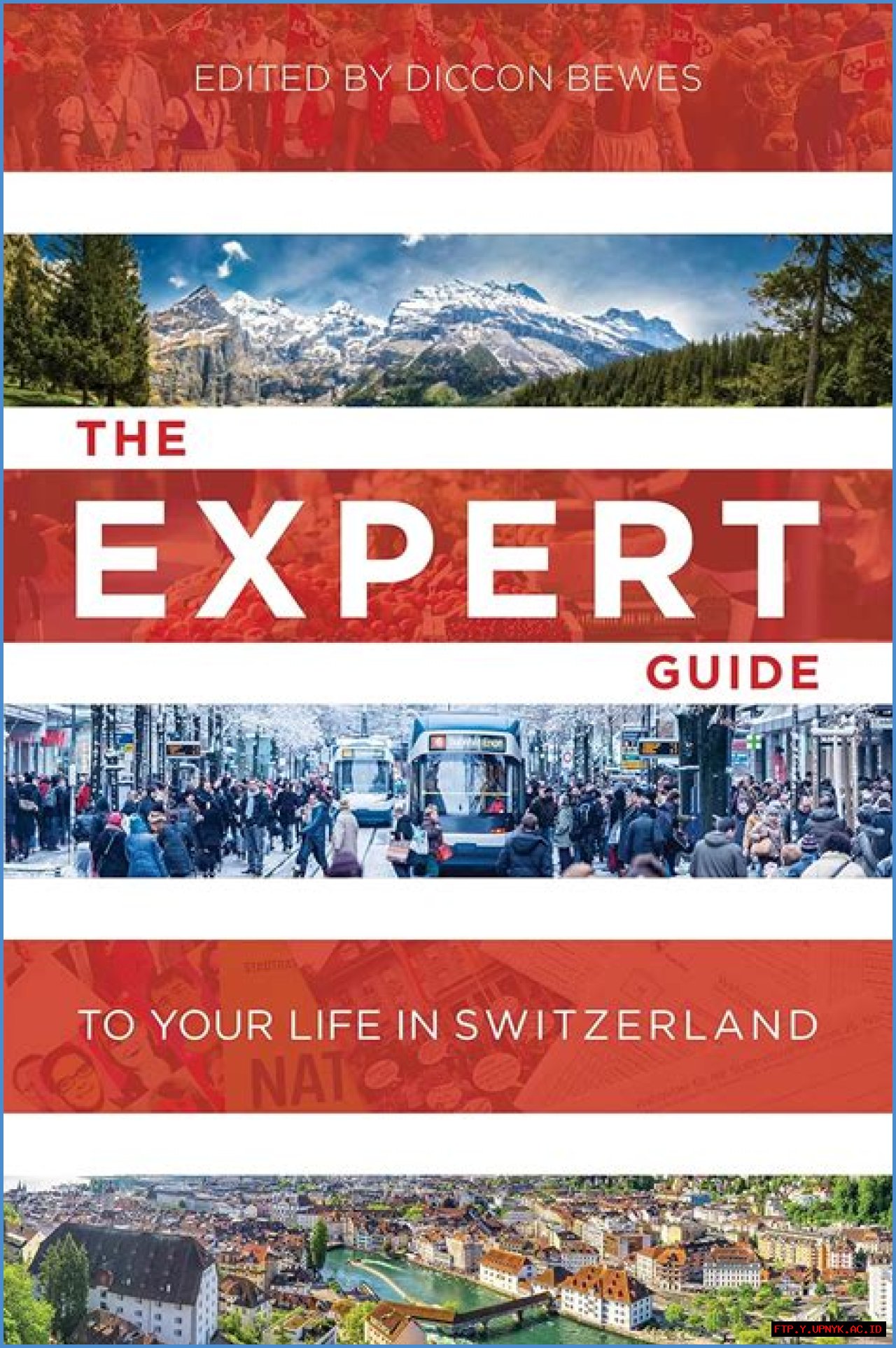 Meet Zakary Koller: The Expert Guide To Success