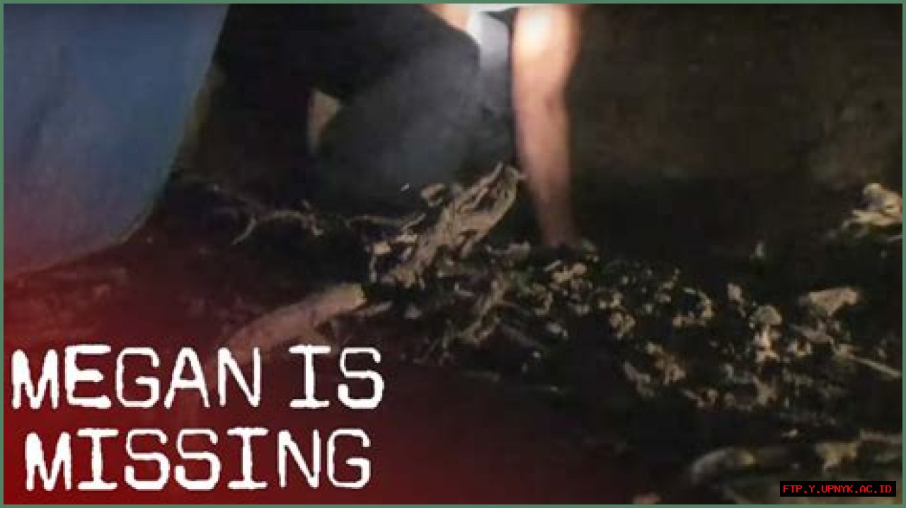 Megan Is Missing Images: An In-Depth Exploration