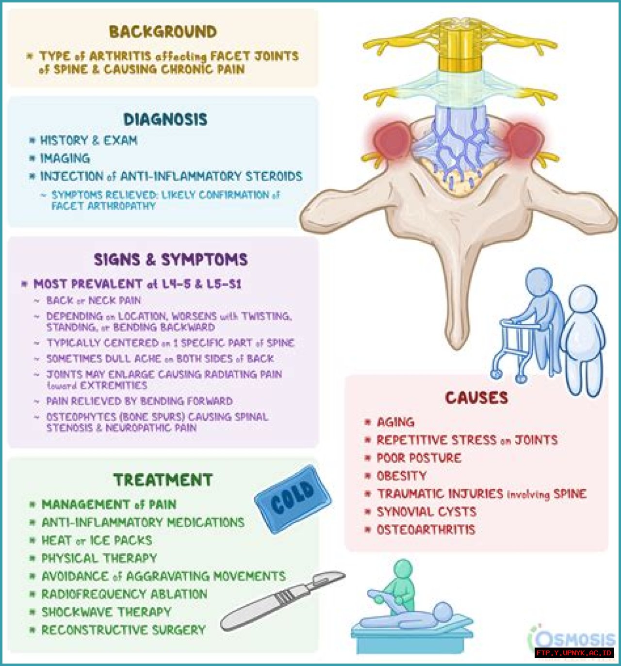 Most Comprehensive Guide To Understanding Facet Hypertrophic Changes