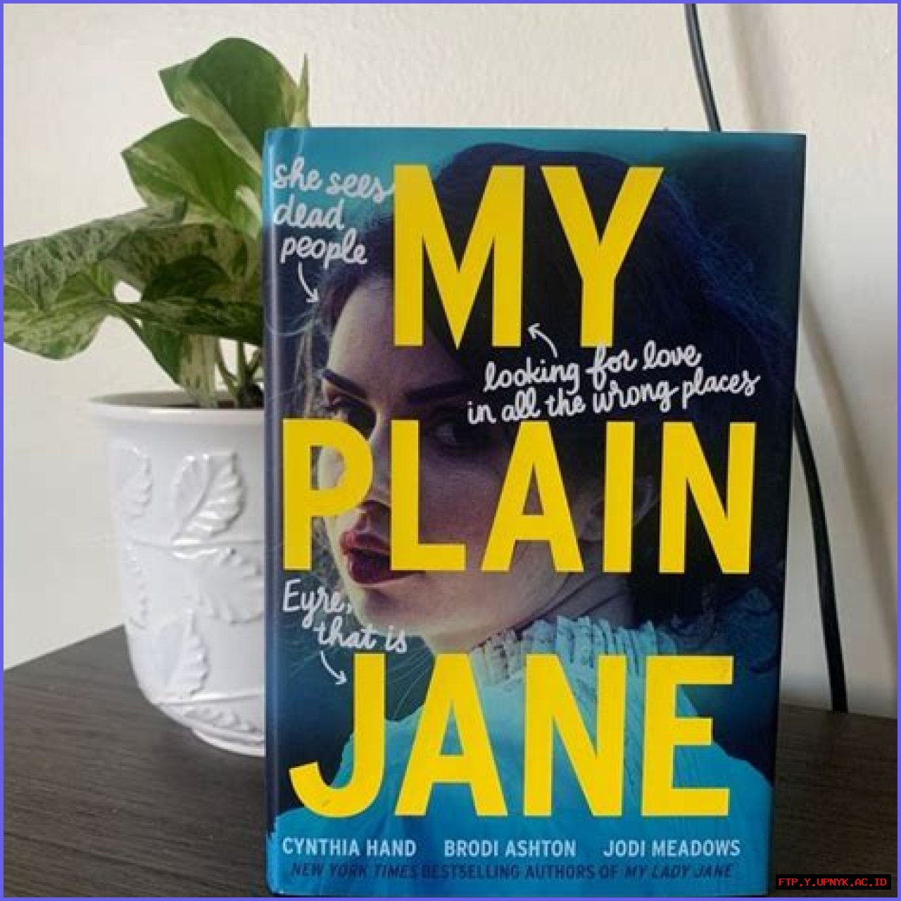 My Plain Jane: An Unassuming Treasure