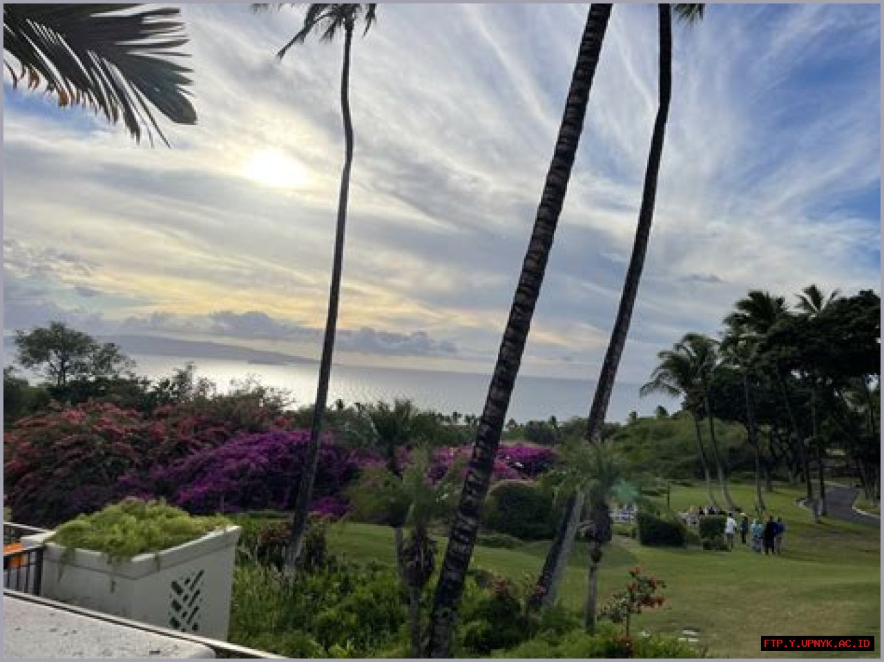 New Discoveries And Insights Into Maui Chapman's World Of Surfing