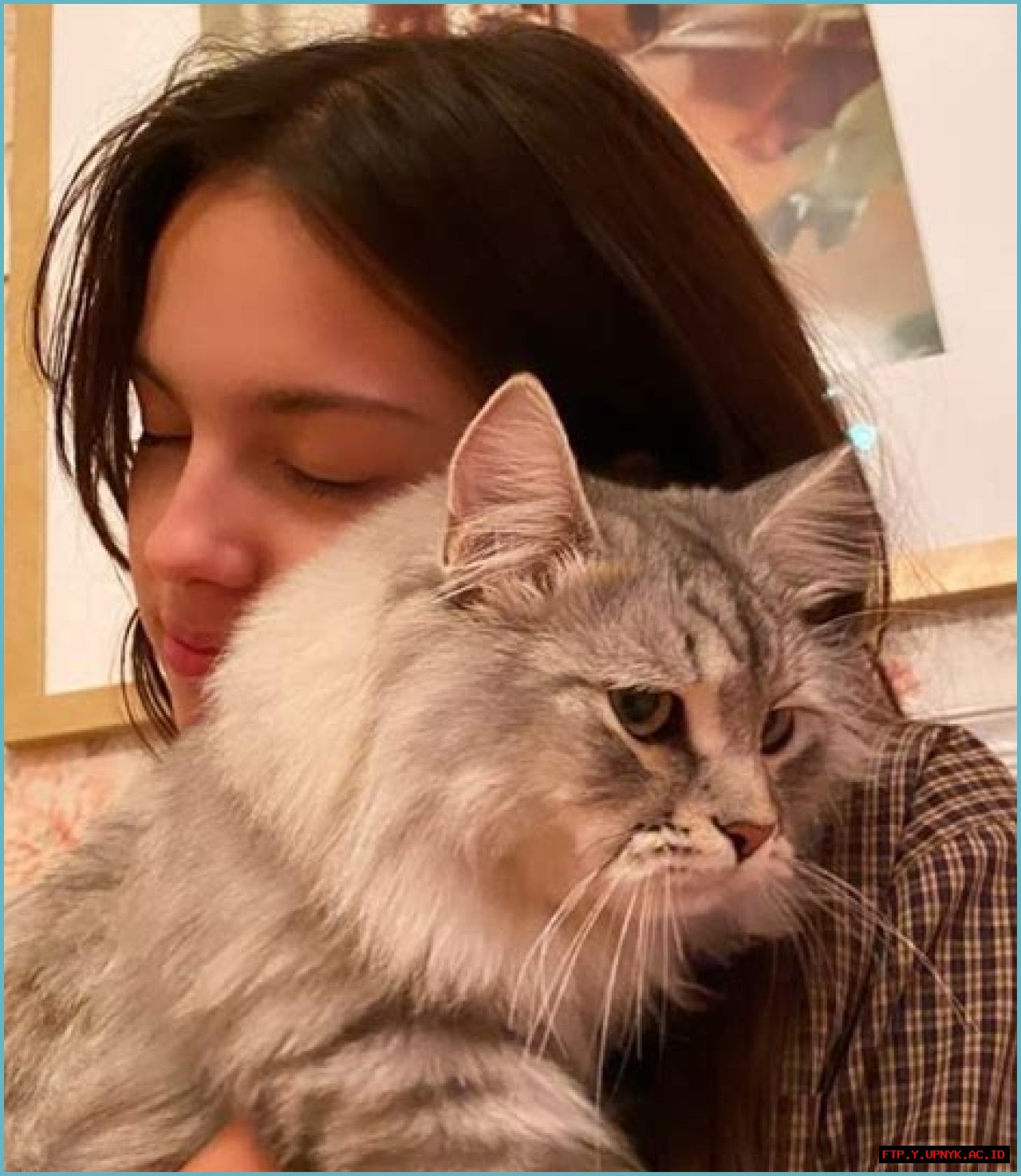 Olivia Rodrigo's Beloved Pet: A Glimpse Into Her Animal Companion