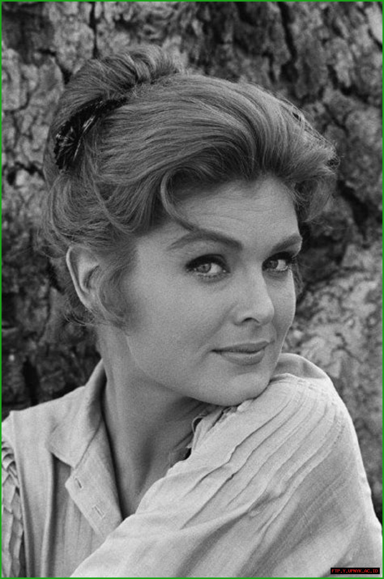 Patricia Blair: A Hollywood Legacy