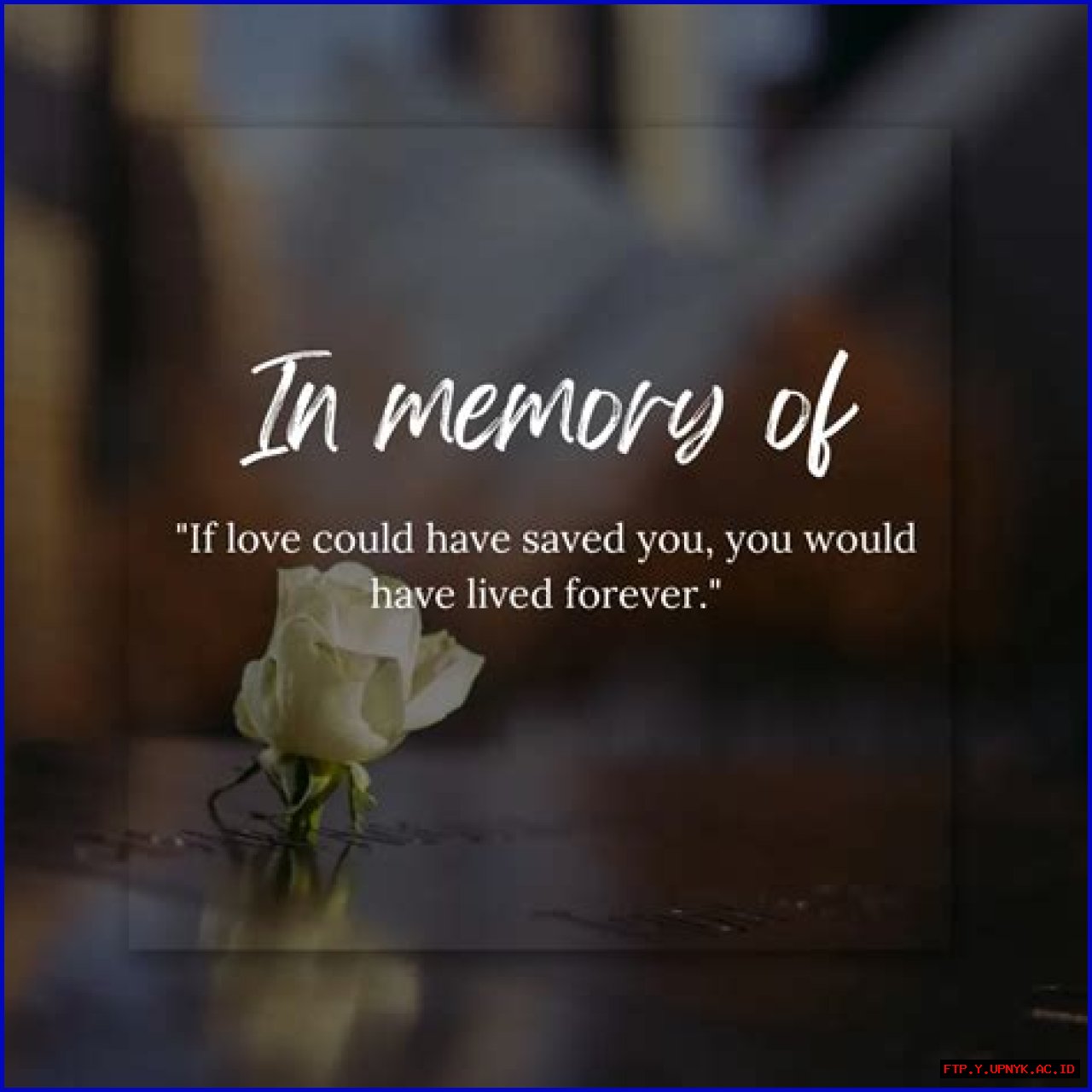 Patricia Healey's Passing: A Remembrance