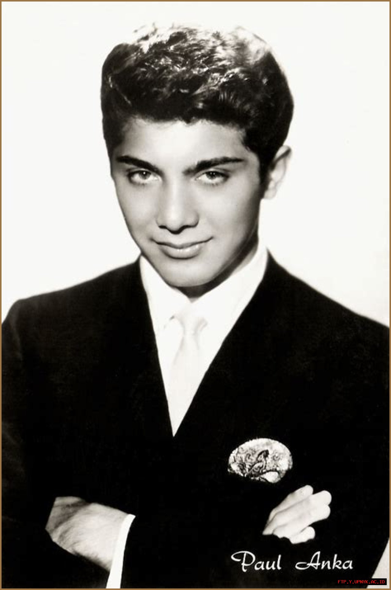 Paul Anka's Des Plaines Roots: A Musical Legacy