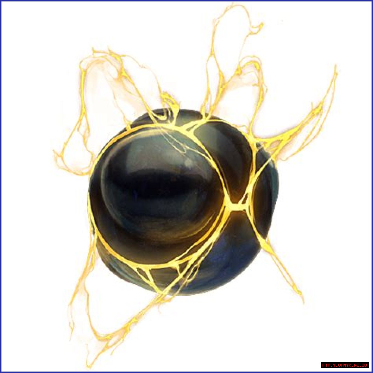 Pearl Fernandez's Fate In 2024