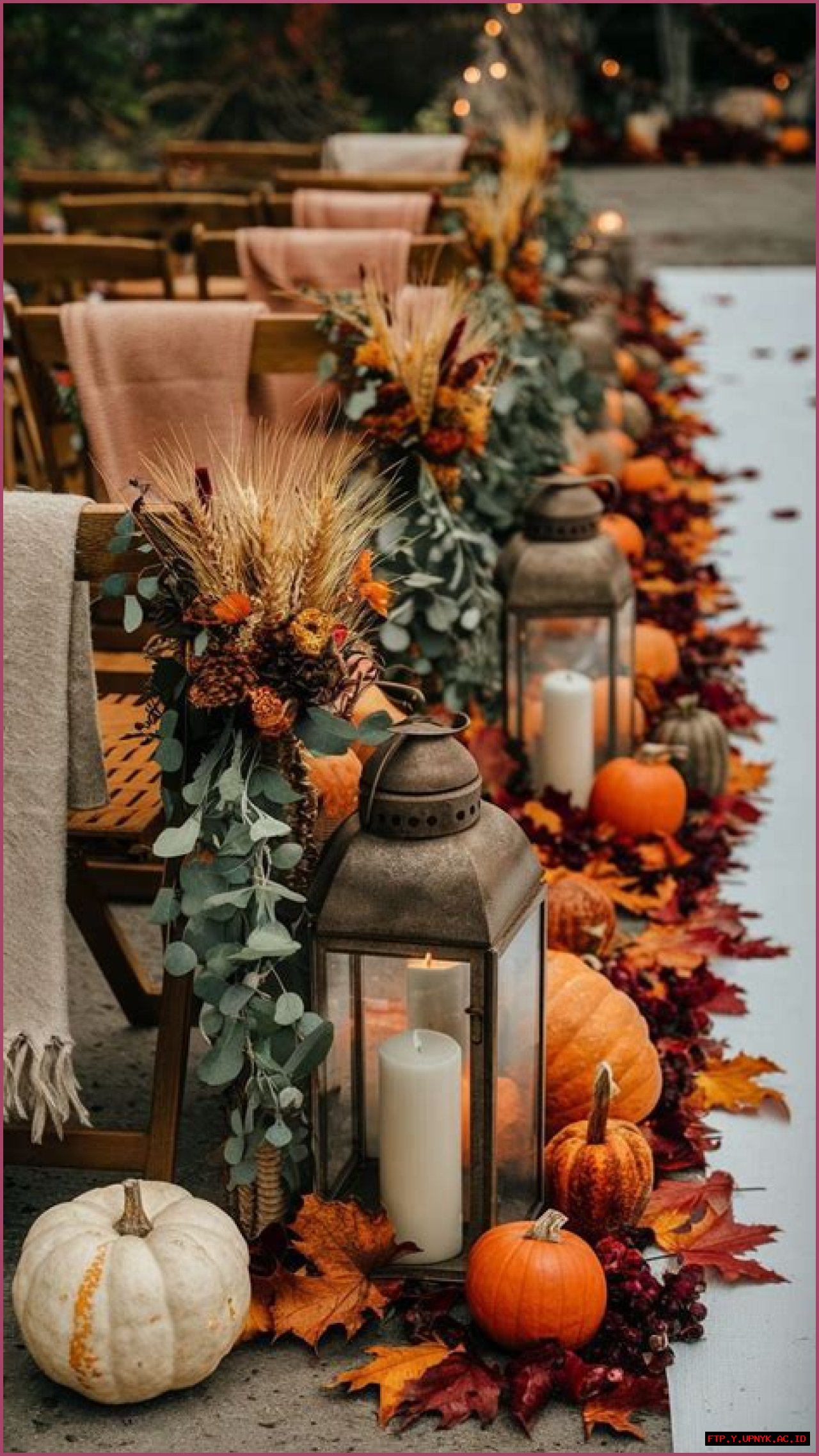 Perfect Fall Decor: Discover The Enchanting World Of Creme Pumpkins