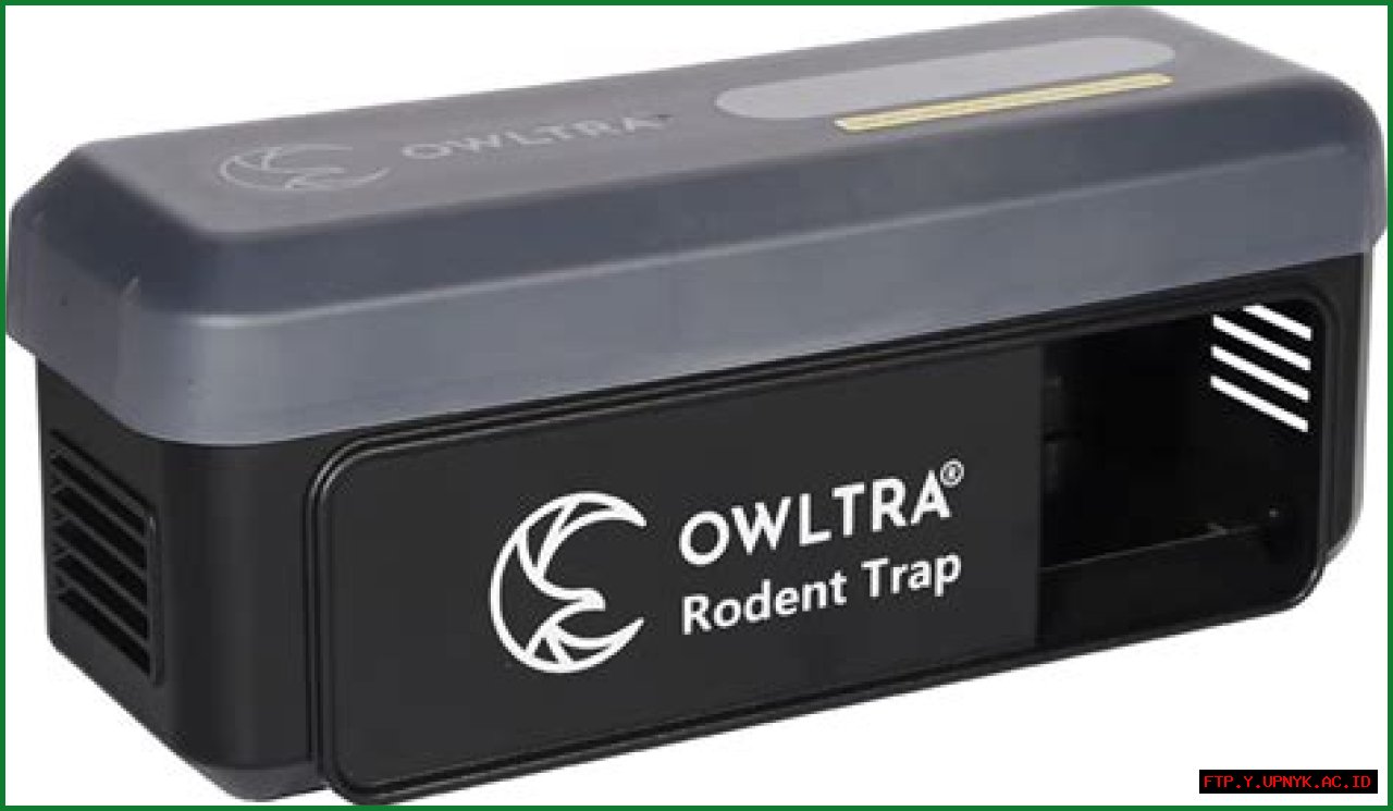 Police Rat Trap: Your Guide To Prevention And Control