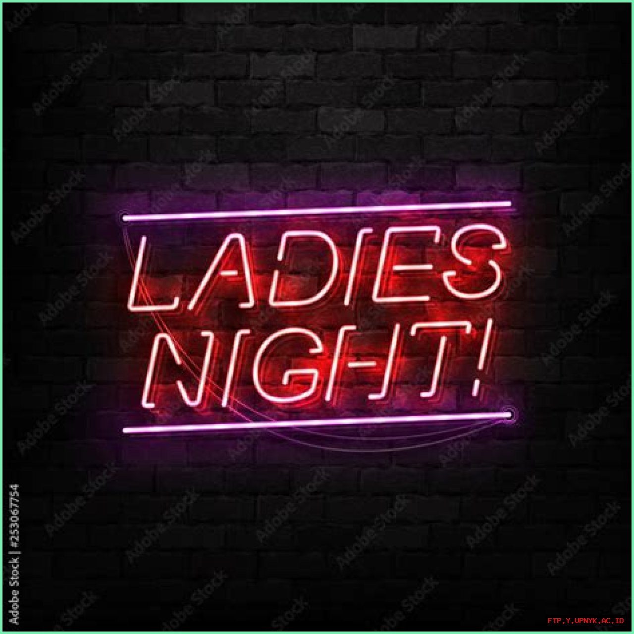 Premier Ladies Nightclub In Houston: LADYS ONE | Houston's #1 Ladies Club