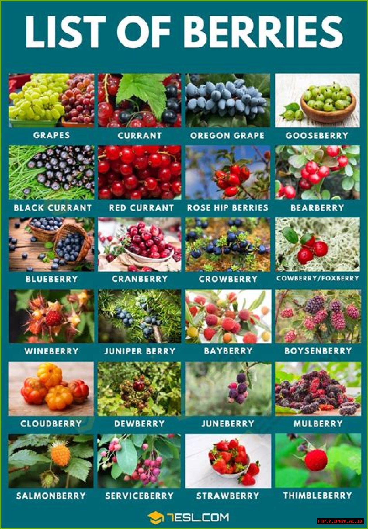 Pronouncing Halle Berry's Name: A Definitive Guide