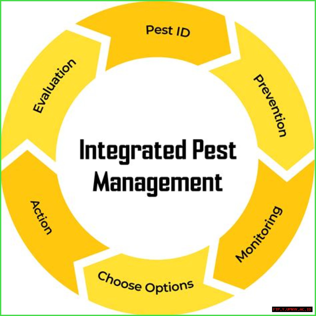 Proven Bugnot Pest Control: Comprehensive Protection For Your Home