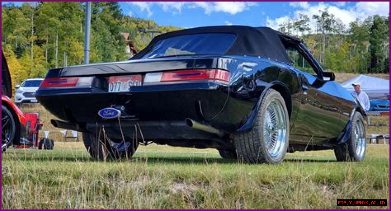 Python Mustang: A Comprehensive Guide And Review